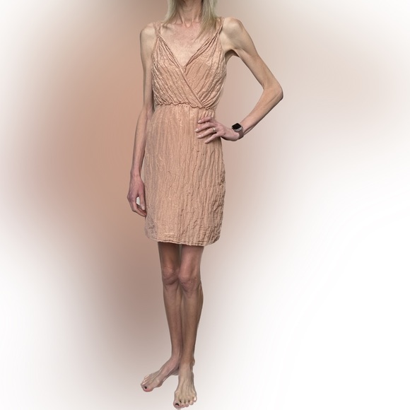 Banana Republic | blush crinkle dress - Picture 2 of 15